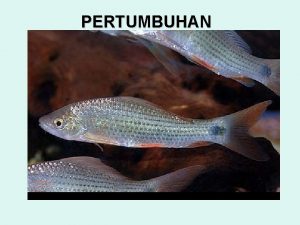 PERTUMBUHAN PERTUMBUHAN Peningkatan biomas suatu populasi yang dihasilkan