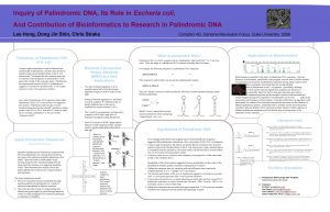 Inquiry of Palindromic DNA Its Role in Escheria