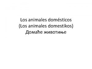 Los animales domsticos Los animales domestikos Cul es