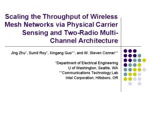 Scaling the Throughput of Wireless Mesh Networks via