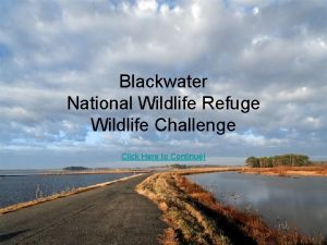 Blackwater National Wildlife Refuge Wildlife Challenge Click Here