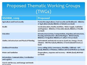 Proposed Thematic Working Groups TWGs NSDRM 2009 Proposed