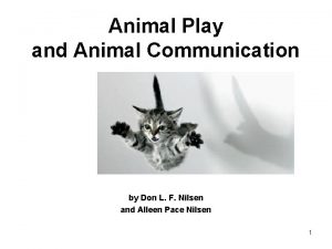 Animal Play and Animal Communication by Don L