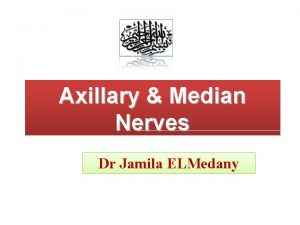 Axillary Median Nerves Dr Jamila ELMedany Objectives At