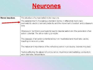 Neurones Coordination the Nervous system Schwann cells form