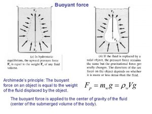 Buoyant force Archimedes principle The buoyant force on