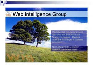 Web Intelligence Group Usability goals are business goals