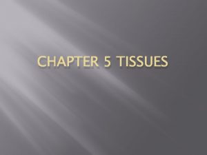 CHAPTER 5 TISSUES Introduction Cells are arranged in