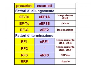 procarioti eucarioti Fattori di allungamento EFTu e EF