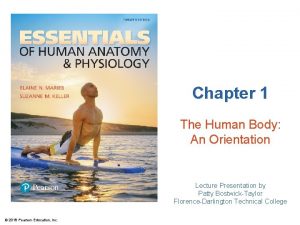 Chapter 1 The Human Body An Orientation Lecture