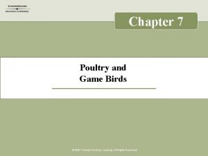 Chapter 7 Poultry and Game Birds 2007 Thomson