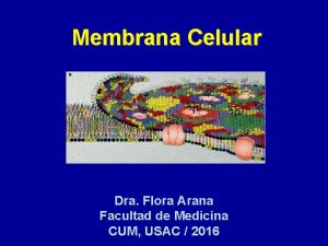 Membrana Celular Dra Flora Arana Facultad de Medicina