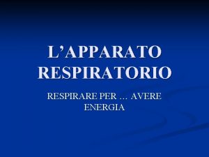 LAPPARATO RESPIRATORIO RESPIRARE PER AVERE ENERGIA A CHE