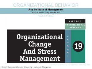 ORGANIZATIONAL BEHAVIOR Ace Institute of Management MBAe Term