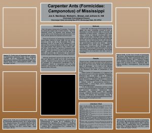 Carpenter Ants Formicidae Camponotus of Mississippi Joe A