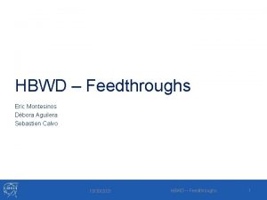 HBWD Feedthroughs Eric Montesinos Dbora Aguilera Sebastien Calvo