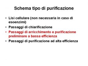 Schema tipo di purificazione Lisi cellulare non necessaria