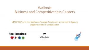 Wallonia Business and Competitiveness Clusters MAGEOSZ and the