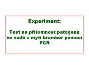 Experiment Test na ptomnost patogenu ve vod z