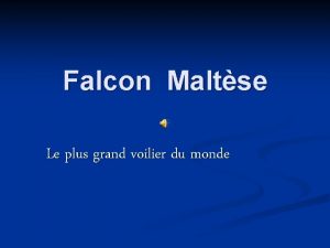 Falcon Maltse Le plus grand voilier du monde