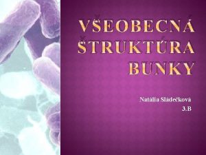 VEOBECN TRUKTRA BUNKY Natlia Sldekov 3 B Ribozmy