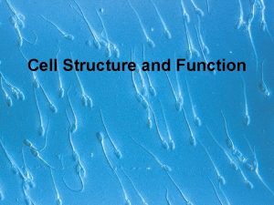 Cell Structure and Function Learning Target I can