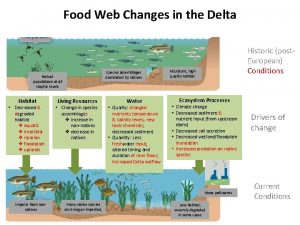 Food Web Changes in the Delta Species assemblages