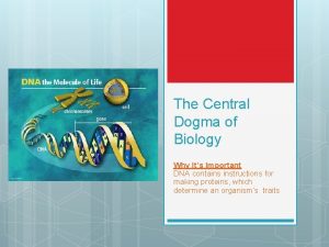 The Central Dogma of Biology Why Its Important