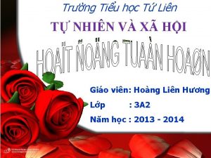 Trng Tiu hc T Lin T NHIN V