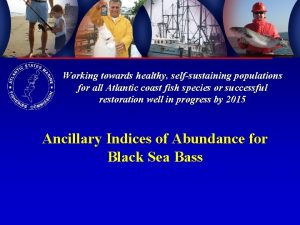 Working towards healthy selfsustaining populations for all Atlantic