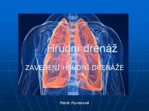 Hrudn dren ZAVEDEN HRUDN DRENE Marie Muresov DLEN