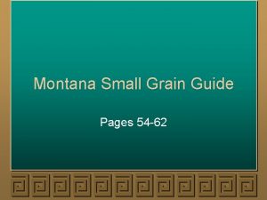 Montana Small Grain Guide Pages 54 62 Harvesting