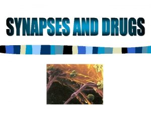 What is a synapse A synapse is the