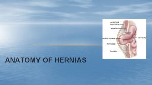 ANATOMY OF HERNIAS The tough abdominal wall confines