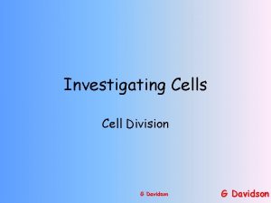 Investigating Cells Cell Division G Davidson Cell Division