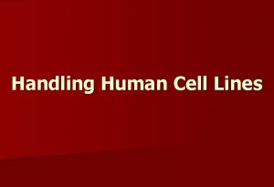 Handling Human Cell Lines Human Cell Lines n
