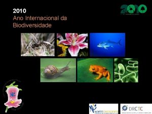 2010 Ano Internacional da Biodiversidade O que a