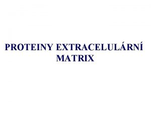 PROTEINY EXTRACELULRN MATRIX Sloen extracelulrn matrix Buky fibroblasty