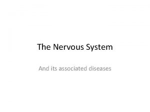 The Nervous System And its associated diseases Diseases