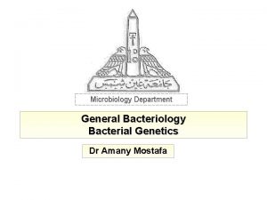 Microbiology Department General Bacteriology Bacterial Genetics Dr Amany