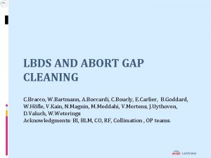 LBDS AND ABORT GAP CLEANING C Bracco W