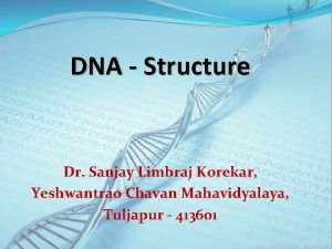 DNA Structure Dr Sanjay Limbraj Korekar Yeshwantrao Chavan