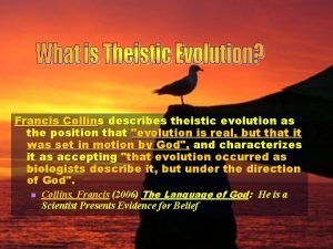 Francis Collins describes theistic evolution as the position