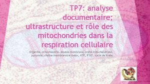 TP 7 analyse documentaire ultrastructure et rle des