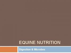 EQUINE NUTRITION Digestion Microbes Passage of Digesta Muscle