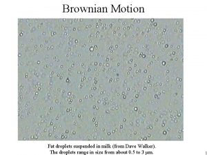 Brownian Motion Fat droplets suspended in milk from