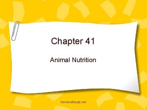 Chapter 41 Animal Nutrition travismulthaupt com 3 Categories