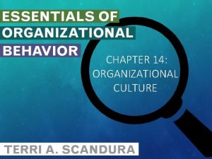 CHAPTER 14 ORGANIZATIONAL CULTURE AGENDA Organizational culture Organizational