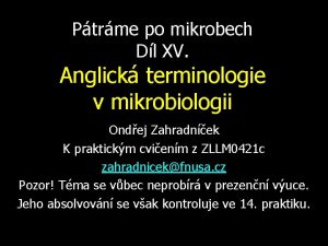 Ptrme po mikrobech Dl XV Anglick terminologie v