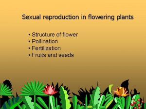 Sexual reproduction in flowering plants Structure of flower